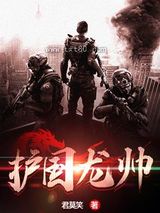 护国龙帅图片