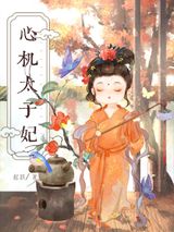 《心机太子妃》全本TXT下载-作者：起跃