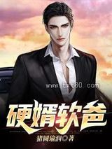 硬婿软爸图片