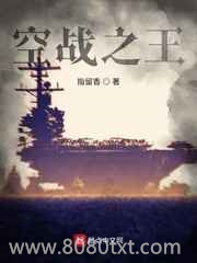 空战之王图片