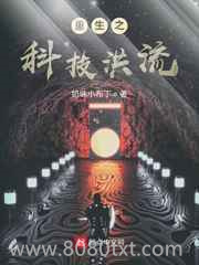 重生之科技洪流图片