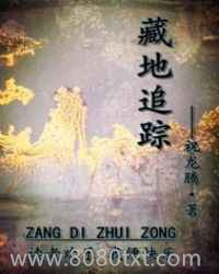 藏地追踪图片
