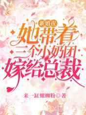新婚夜她带着三个小奶团嫁给总裁图片