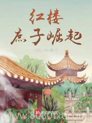 红楼：庶子崛起图片