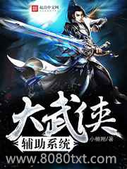 《大武侠辅助系统》全本TXT下载-作者：小楊刚
