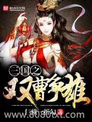 三国之双曹争雄图片
