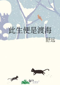 此生便是渡海 上部完结图片