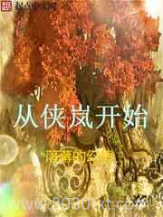 从侠岚开始图片