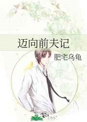 迈向前夫记图片