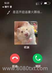 虐文霸总穿成女主的仓鼠后图片