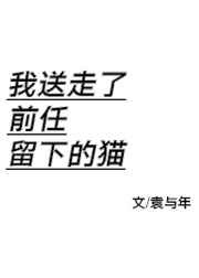 我送走了前任留下的猫图片