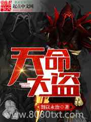 天命大盗图片