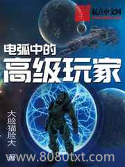 电弧中的高级玩家图片