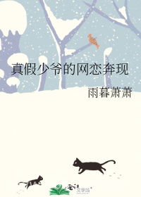 真假少爷的网恋奔现图片