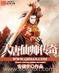 大唐仙帅传奇图片