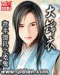 大锦衣图片