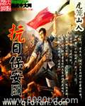 抗日保安团图片