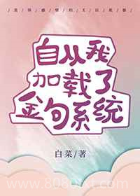自从我加载了金句系统图片