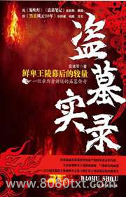 盗墓实录:鲜卑王陵幕后的较量图片