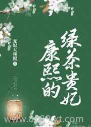 康熙的绿茶贵妃图片