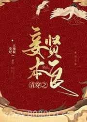 清穿之妾本贤良图片