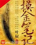 摸金笔记图片