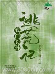 农门长孙逃荒记图片