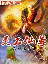 灵石仙尊
