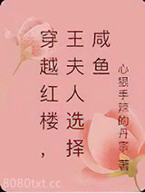 穿越红楼,王夫人选择咸鱼图片