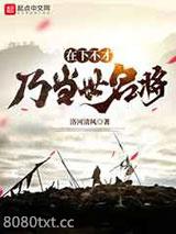 在下不才,乃当世名将图片