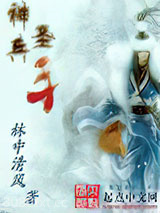 《神兵圣手》全本TXT下载-作者：林中清风