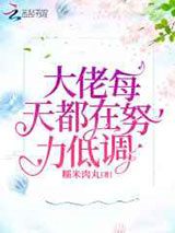 《大佬每天都在努力低调》全本TXT下载-作者：糯米肉丸
