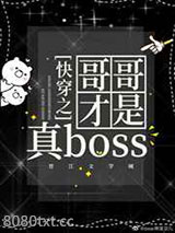 [综]快穿之哥哥才是真boss图片