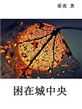 困在城中央图片