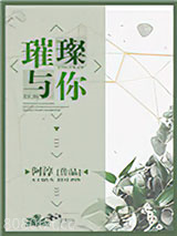 《璀璨与你》全本TXT下载-作者：阿淳