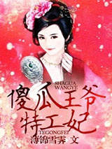 傻瓜王爷特工妃图片