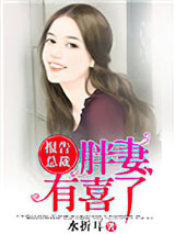 报告总裁，胖妻有喜了图片