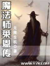 魔法师莱恩传图片