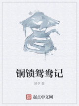 铜锁鸳鸯记图片