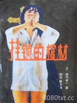 挂锁的棺材图片