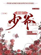 陪豪门少爷念书图片