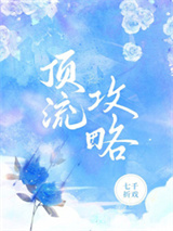 顶流攻略图片