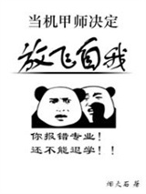 当机甲师决定放飞自我图片