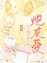 《穿成抛夫弃子的炮灰受[快穿]》全本TXT下载-作者：日落黄