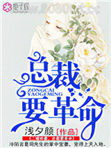 二婚娇妻，总裁要革命图片