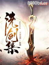 洗剑集图片