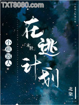 小机器人在逃计划图片