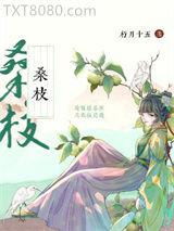 古代药膳手札图片