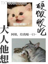 大人他想硬饭软吃图片