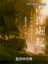 铁血残明之南洋崛起图片